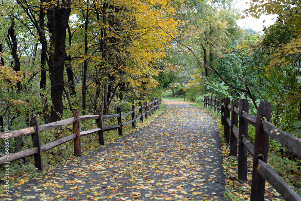 Fenced portion of the South County Trail near Irvington, New York, USA on a wet autumn day. Fenced portion of the South County Trail near Irvington, New York, USA on a wet autumn day.