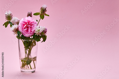 pink summer mood flowers. travel concept. pink flowers on a pink background.
