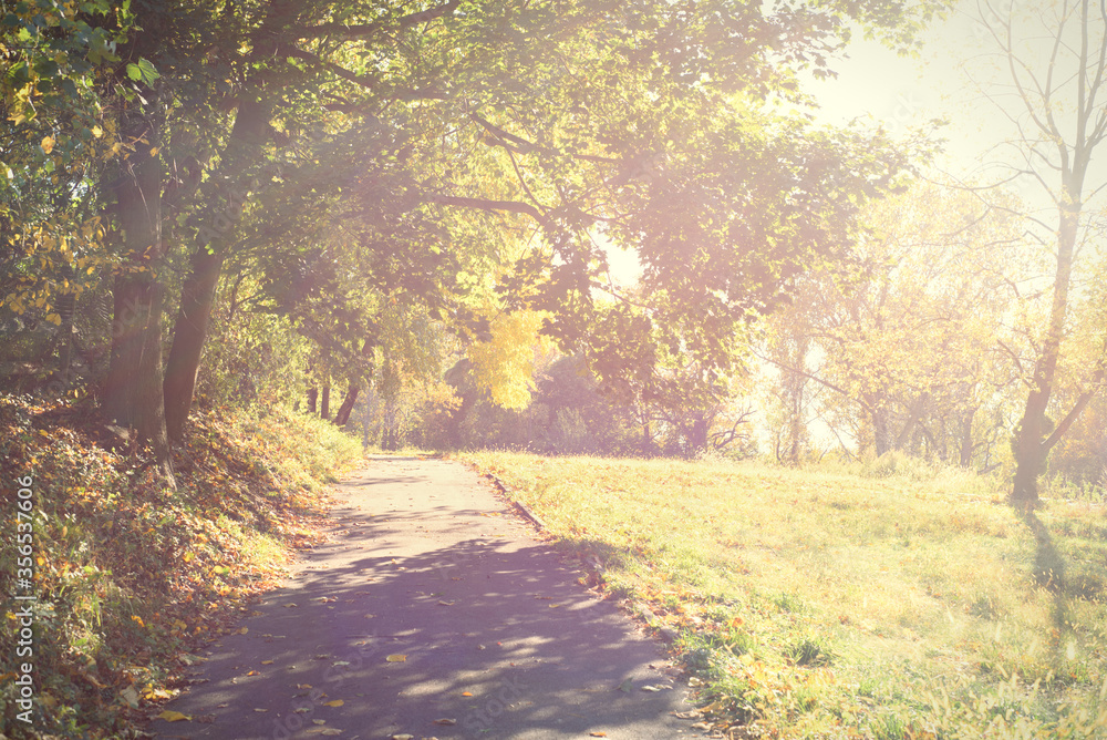 Bright surreal scene of a walking trail surrounded by trees and field of grass. Bright surreal scene of a walking trail surrounded by trees and field of grass.