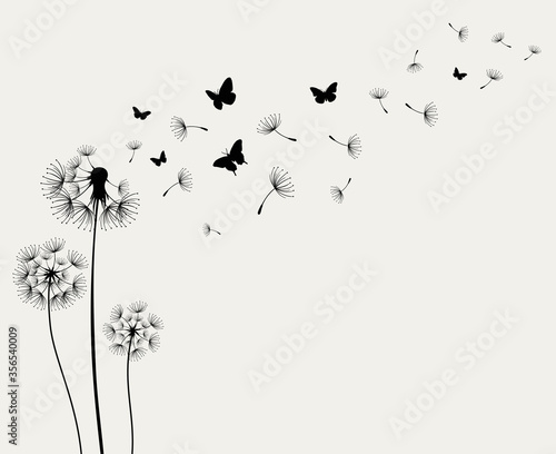 Dandelions and butterfly on the wall background © halimqdn