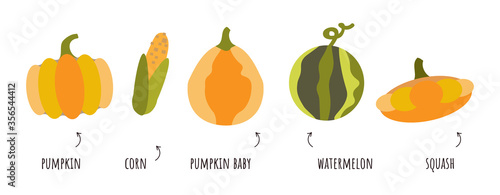 Fotografie Vector set clip art of organic food, vegetables in flat style