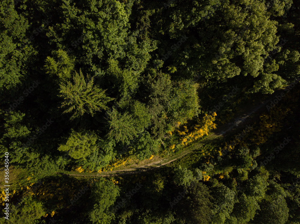 Aerial photos around Arthurs Point in Queenstown, New Zealand taken in the morning before the summer season with views of the shotover river, Coronet's peak, Queenstown hill and Bowen Peak.