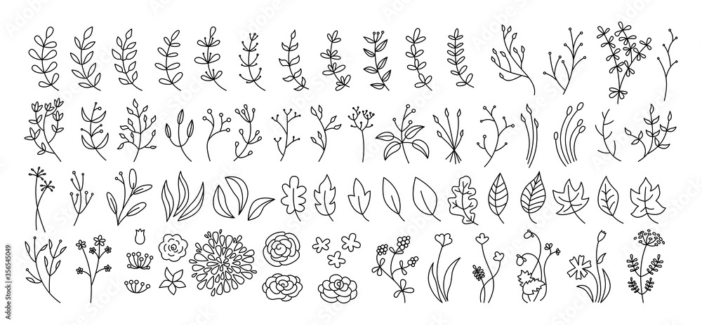 Flower, branch and leaf set, botanical black line. Abstract outline different beautiful floral design elements. Flat floral cartoon eco collection. Beautiful isolated flowers. Vector illustration Flower, branch and leaf set, botanical black line. Abstract outline different beautiful floral design elements. Flat floral cartoon eco collection. Beautiful isolated flowers. Vector illustration