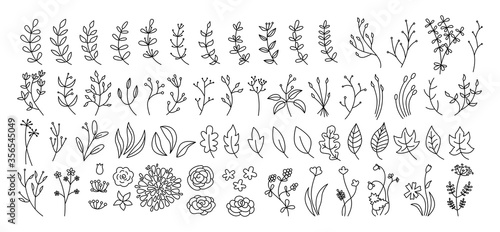 Flower, branch and leaf set, botanical black line. Abstract outline different beautiful floral design elements. Flat floral cartoon eco collection. Beautiful isolated flowers. Vector illustration