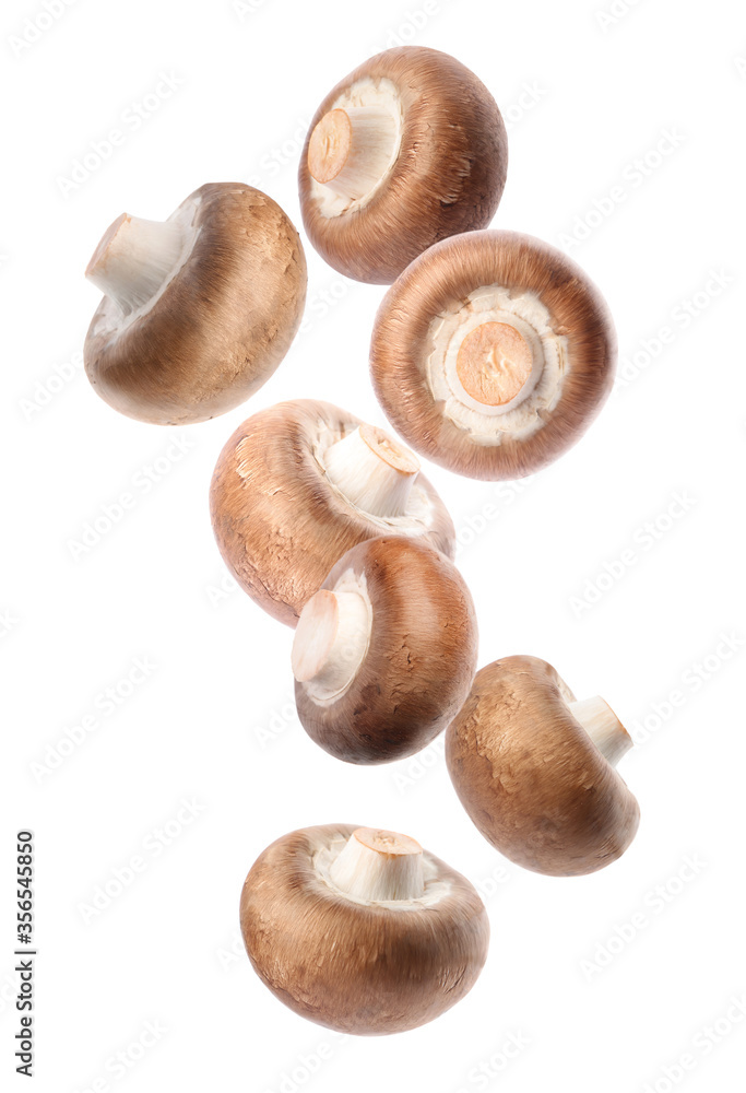 Set with fresh champignon mushrooms falling on white background Set with fresh champignon mushrooms falling on white background