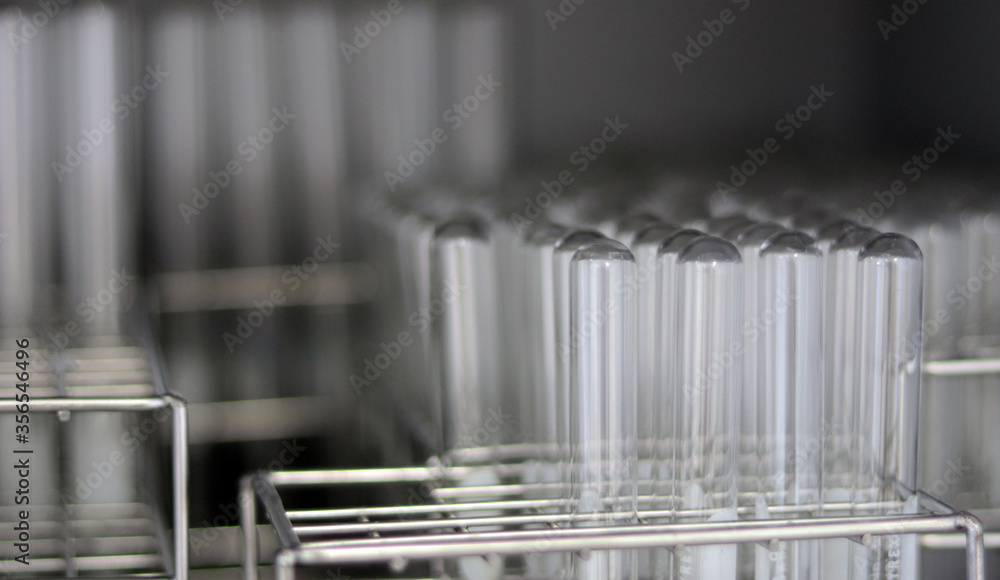 Transparent clear test tubes on racks, clean glasswares on the laboratory shelf for measuring solution or solvent in science experiment, chemistry equipment tools for analysis sample. Selective focus.