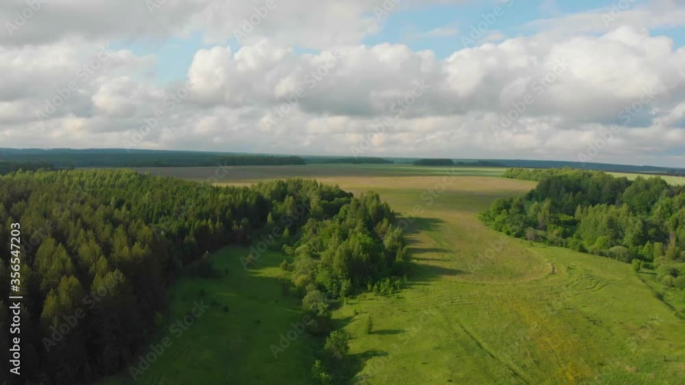 Green field and forest with cloudy sky above Green field and forest with cloudy sky above
