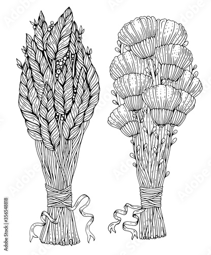 Vector hand drawn bunches of healing herbs flowers for ceremony magic potions. Therapeutic dry grass herbal medicine.  Patterned Coloring page for magic plant magic attributes isolated on white back 