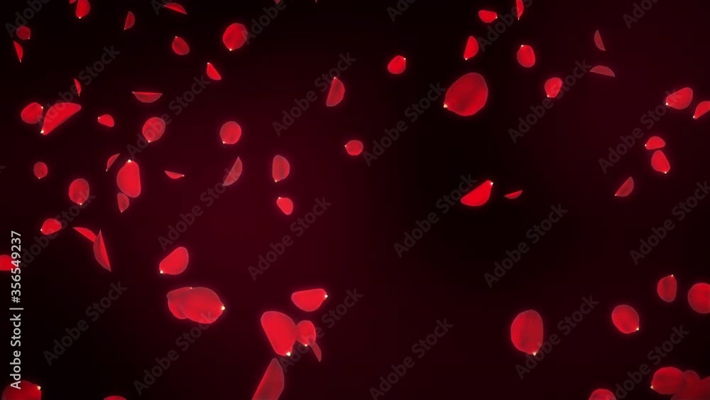 Falling Rose Petals -Seamless Video Falling Rose Petals -Seamless Video