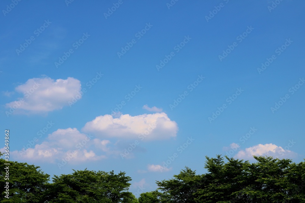 空 雲 新緑 風景 日本 空 雲 新緑 風景 日本