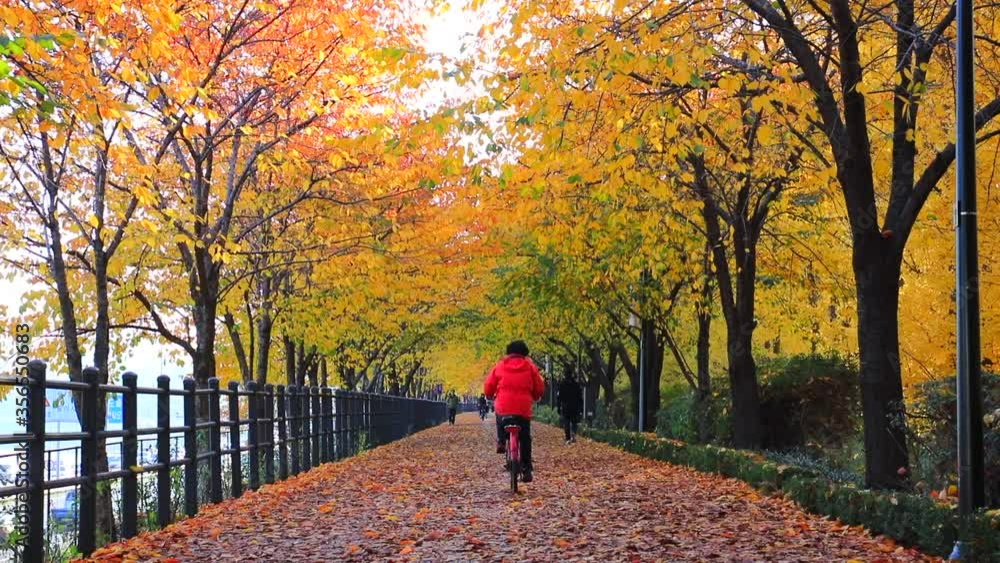Park in Autumn Seoul South Korea Park in Autumn Seoul South Korea