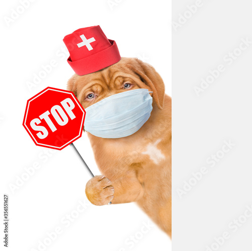 Puppy wearing medical cap and protective mask shows stop sign and look from behinde empty banner. Isolated on white background © Ermolaev Alexandr