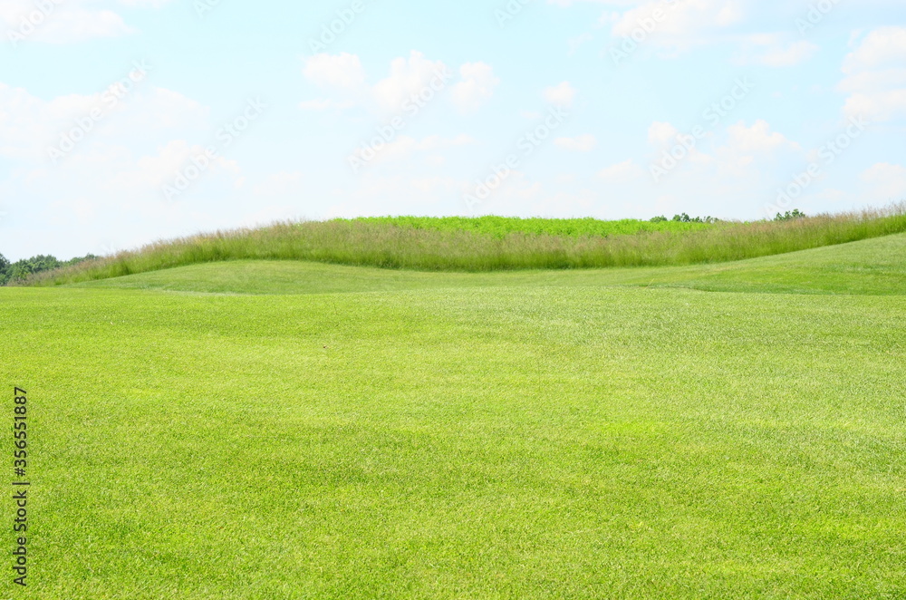Fototapeta premium green field and blue sky