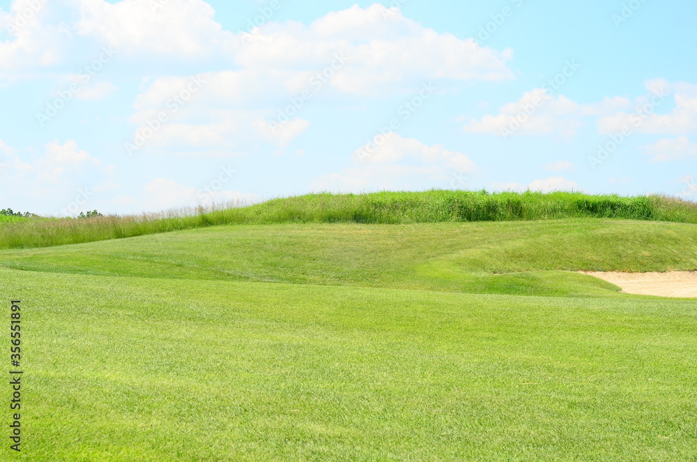 green field with blue sky