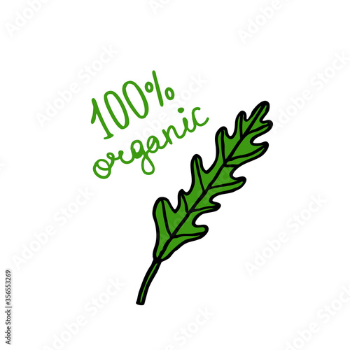 arugula rucola doodle icon, vector illustration