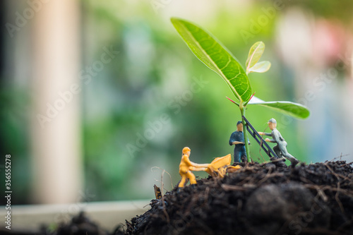 Miniature people team works to inspect and plant trees for a green world project. (We plant trees for a better world)
