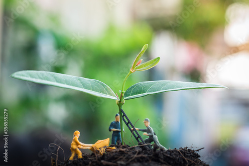 Miniature people team works to inspect and plant trees for a green world project. (We plant trees for a better world) © Werachat