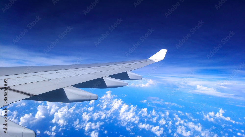 Obraz premium Wing in the Blue Sky