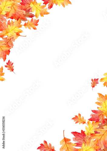 frame of red leaves in autumn concept  isolated on white background. Flat lay, top view, copy space.