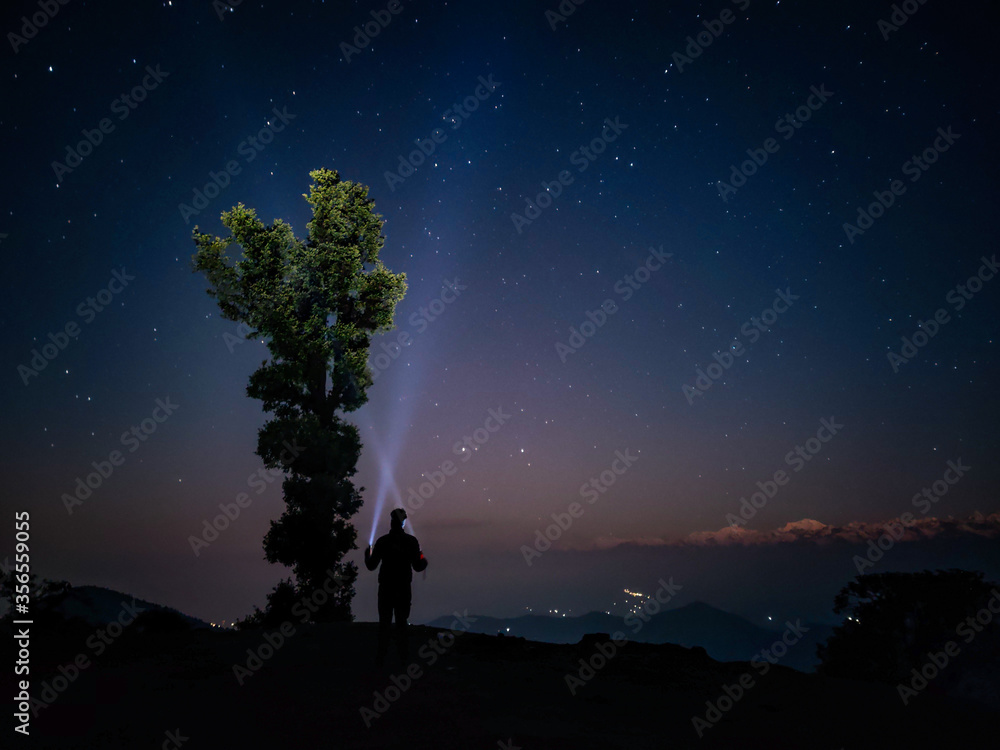 silhouette of a man and a tree