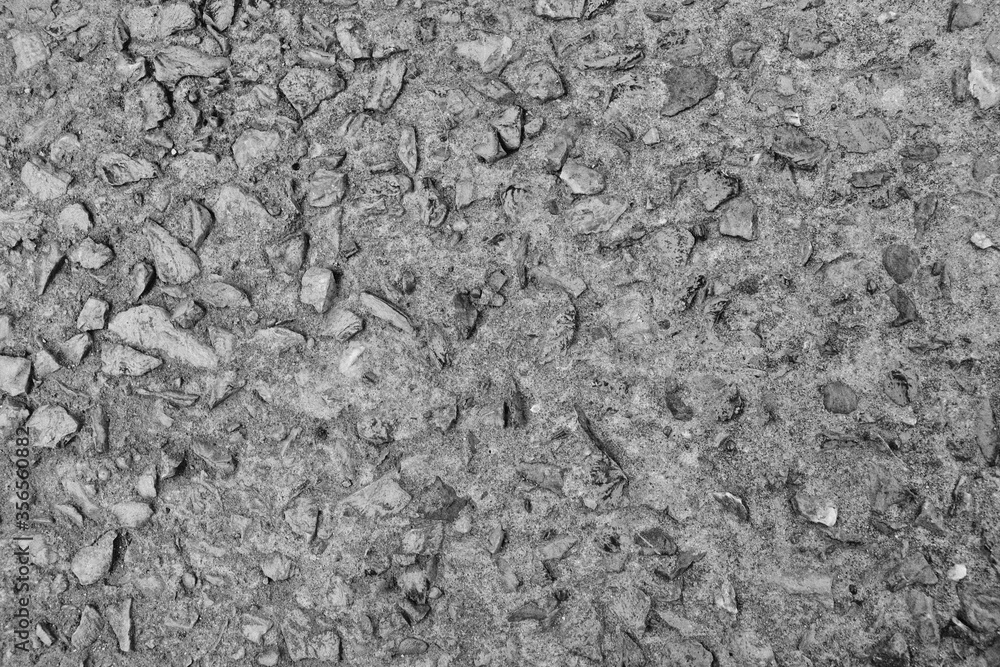 The cement floor was broken along the road. Born from nature, suitable for backgrounds and wallpapers The cement floor was broken along the road. Born from nature, suitable for backgrounds and wallpapers