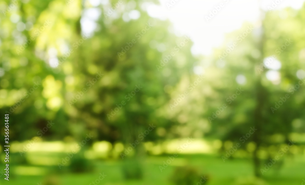 Blur defocused park garden tree in nature background Stock Photo | Adobe  Stock