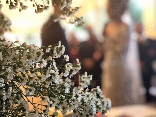 wedding rings on the tree