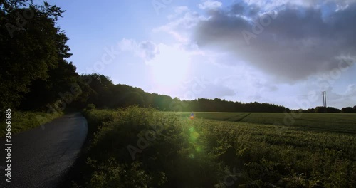 Wombwell Woods  Sunny Dearne Valley Landscape low angle timelapse photo