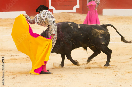 Bullfighter