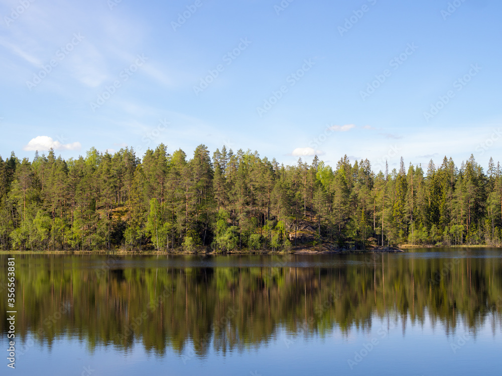 forest lake with reflections