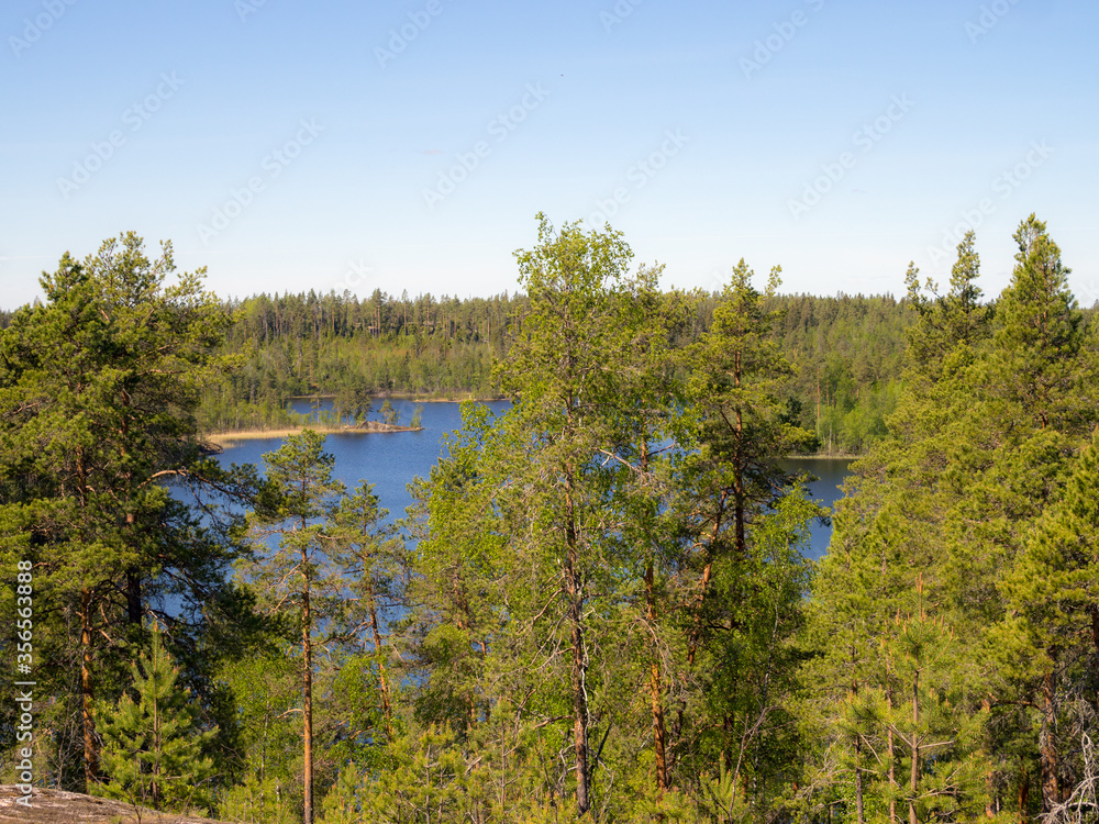 view of a forest lake