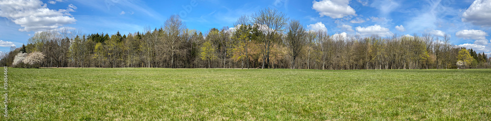 panoramic view of a scenic forest landscape under blue sky at spring sunny day