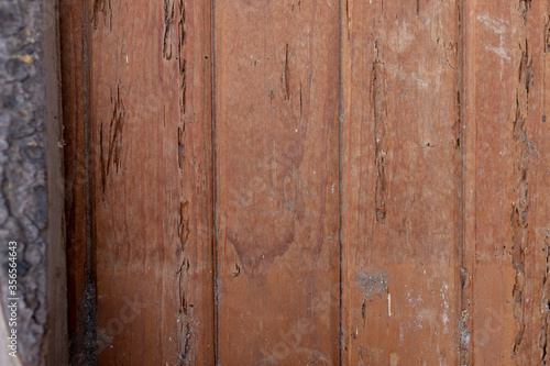Texture of an aged wood panel