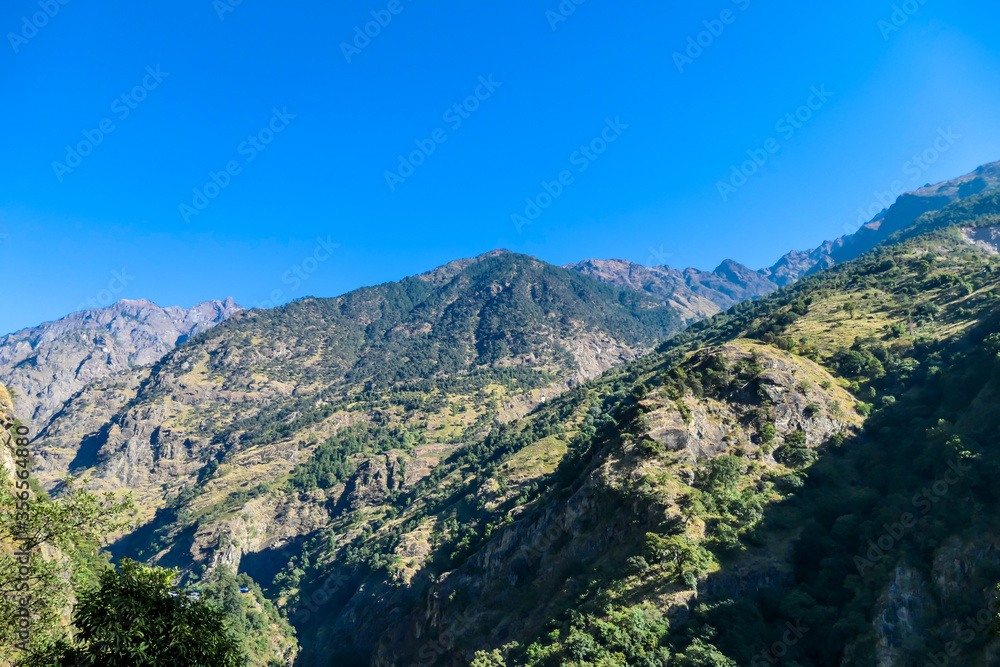 View on Himalayas along Annapurna Circuit Trek, Nepal. There is a dense forest in front. High Himalayan peaks catching the sunbeams. Serenity and calmness.High mountain landscape. Endless horizon.