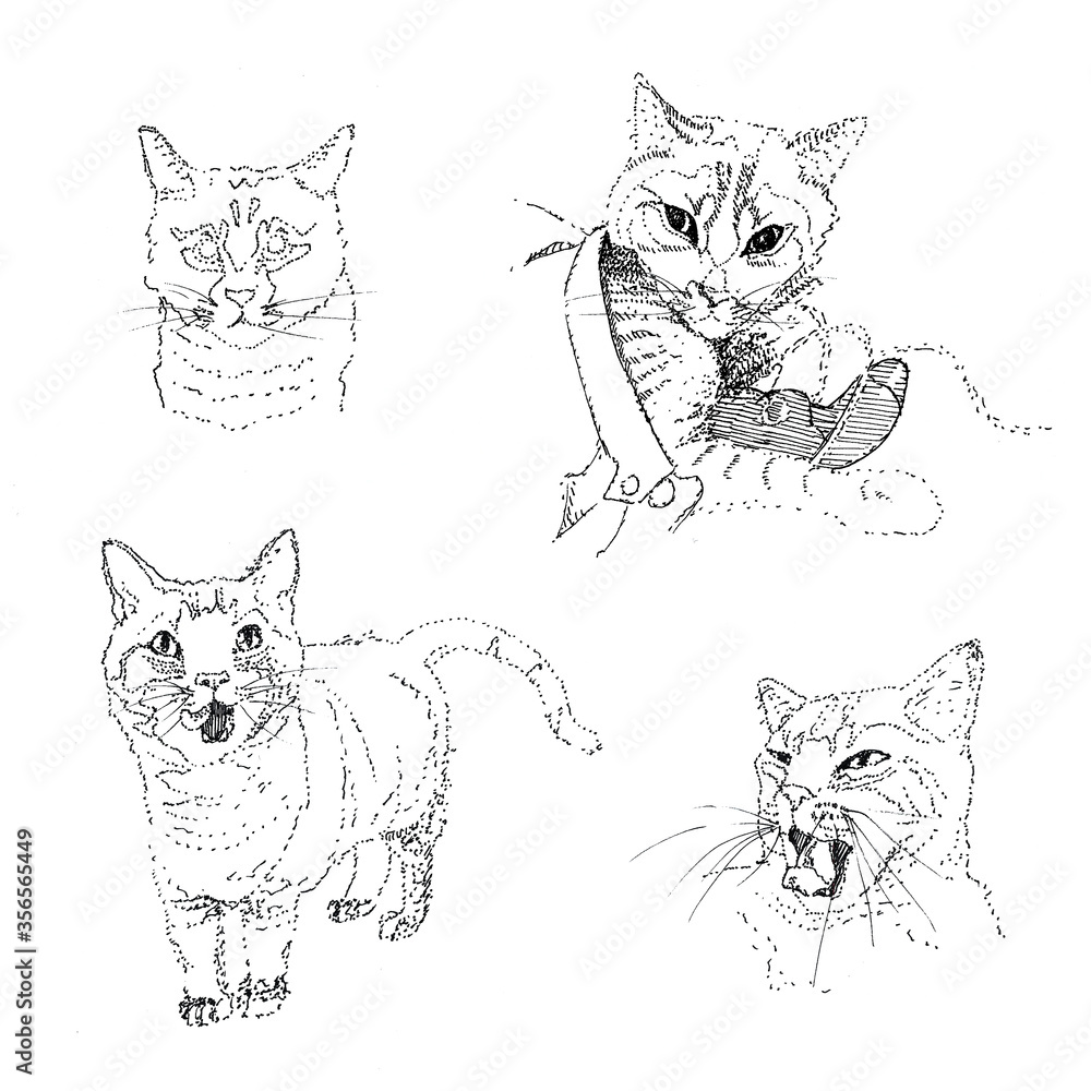 Set of cute cats drawn by a liner