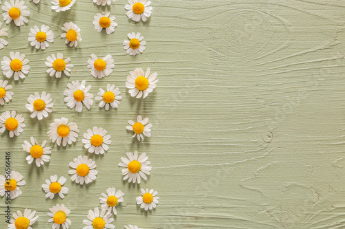 Fototapeta Naklejka Na Ścianę i Meble -  Fresh chamomile flowers on wooden background