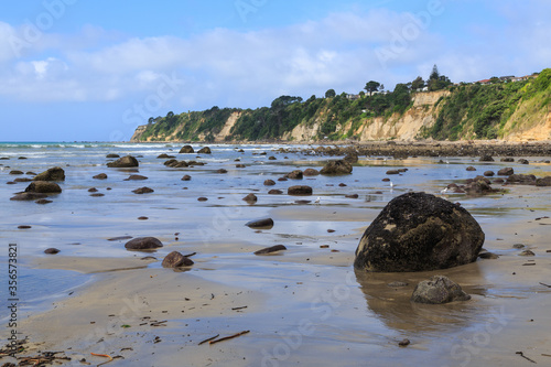 Beach at Maketu in the Bay of Plenty, New Zealand. Large boulders with tiny "flea mussels" rest in the wet sand