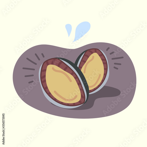 전복 벡터 일러스트