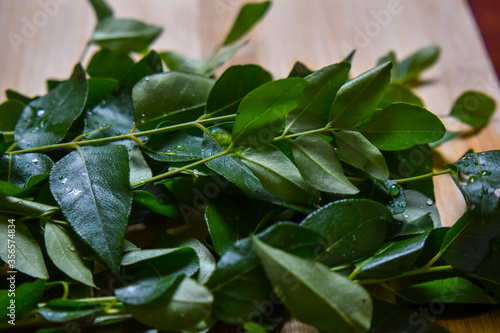 fresh curry leafs on wood chopping board for cooking