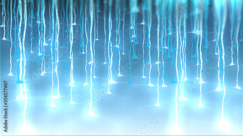 Pyramidal neurons of the cerebral cortex