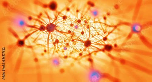 Neurons in the brain