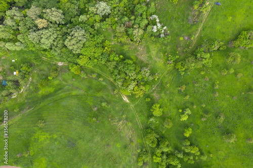 wild field, view from above