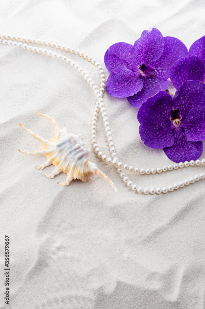 Fototapeta premium 夏イメージ