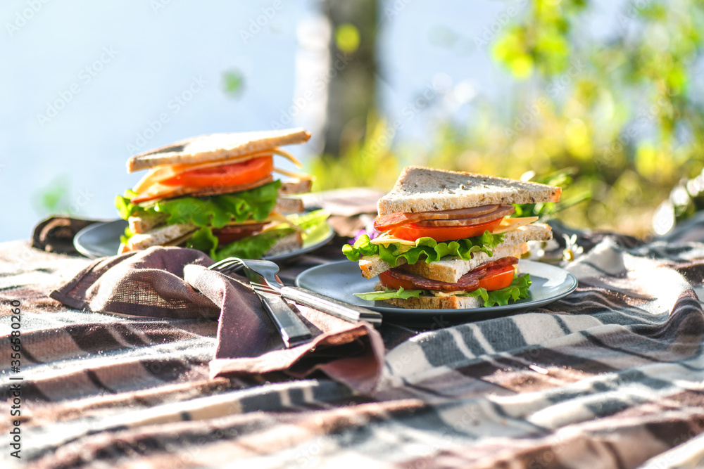 Picnic with sandwiches in park or forest. Toast bread, cheese, ham, sausage, tomatoes, salad leaves. Weekend party, sunny day Picnic with sandwiches in park or forest. Toast bread, cheese, ham, sausage, tomatoes, salad leaves. Weekend party, sunny day
