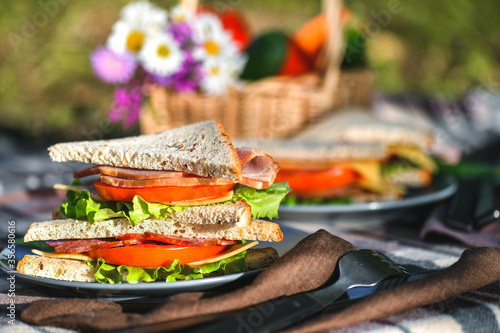 Picnic with sandwiches in park or forest. Toast bread, cheese, ham, sausage, tomatoes, salad leaves. Weekend party, sunny day