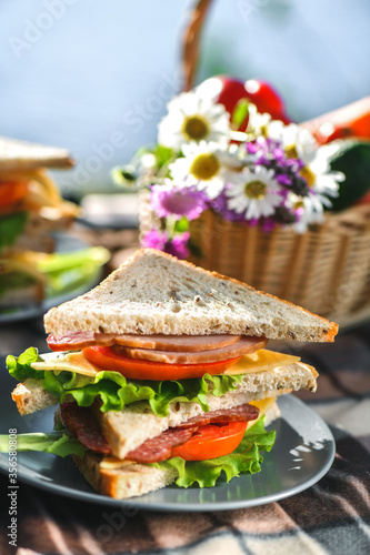 Picnic with sandwiches in park or forest. Toast bread, cheese, ham, sausage, tomatoes, salad leaves. Weekend party, sunny day