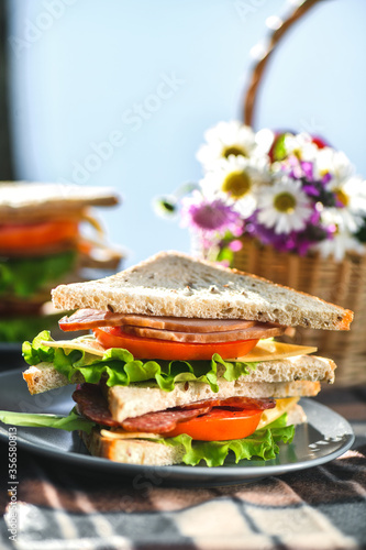 Picnic with sandwiches in park or forest. Toast bread, cheese, ham, sausage, tomatoes, salad leaves. Weekend party, sunny day