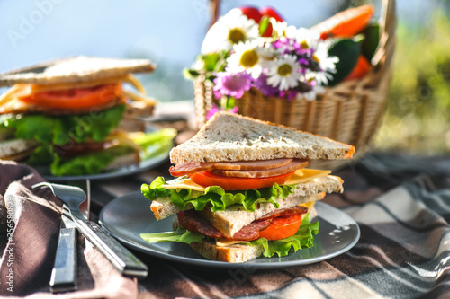 Picnic with sandwiches in park or forest. Toast bread, cheese, ham, sausage, tomatoes, salad leaves. Weekend party, sunny day