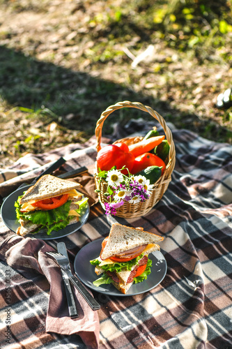 Picnic with sandwiches in park or forest. Toast bread, cheese, ham, sausage, tomatoes, salad leaves. Weekend party, sunny day
