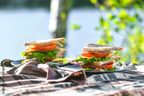 Picnic with sandwiches in park or forest. Toast bread, cheese, ham, sausage, tomatoes, salad leaves. Weekend party, sunny day